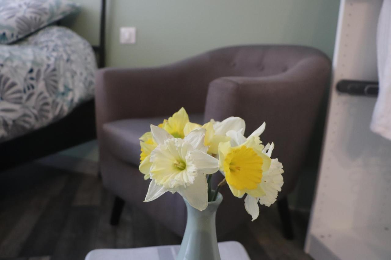 Suite Melody Double Balneo, Home-Cinema, Terrasse A Dieppe Dış mekan fotoğraf